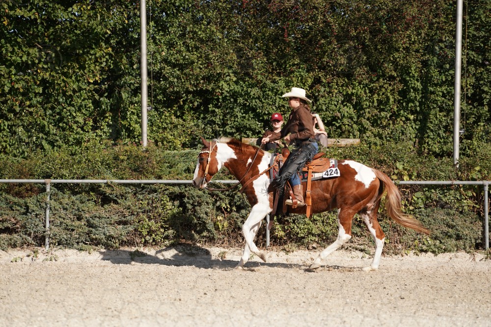 s_A_908324.JPG